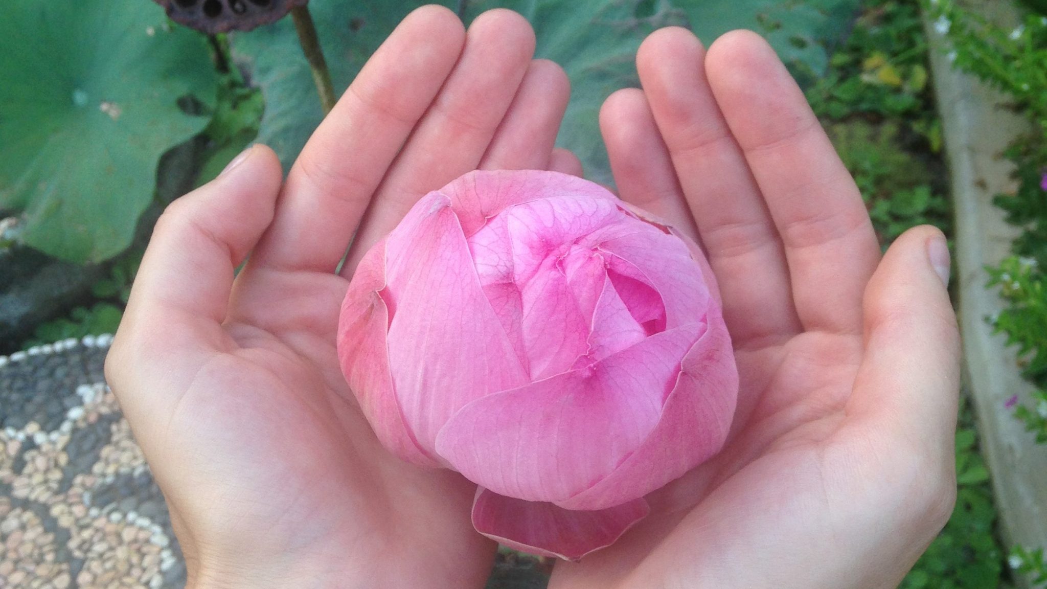 2 lekcje z podróży 3