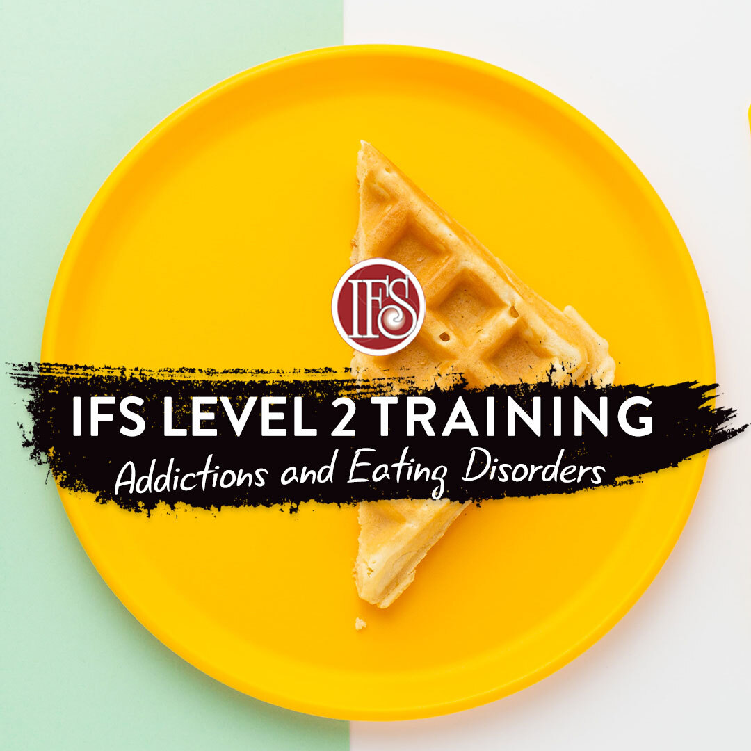 Kurs IFS Level 2 Training (1054) [Second Installment]