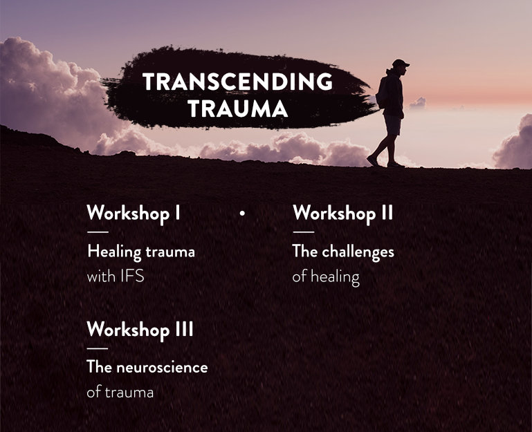 Transcending trauma LP 5