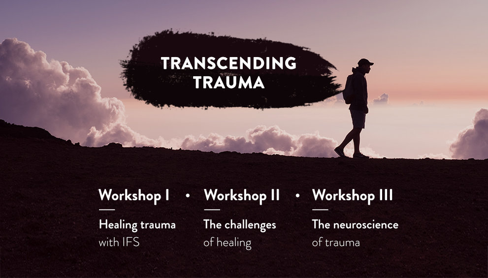 Transcending trauma LP 6