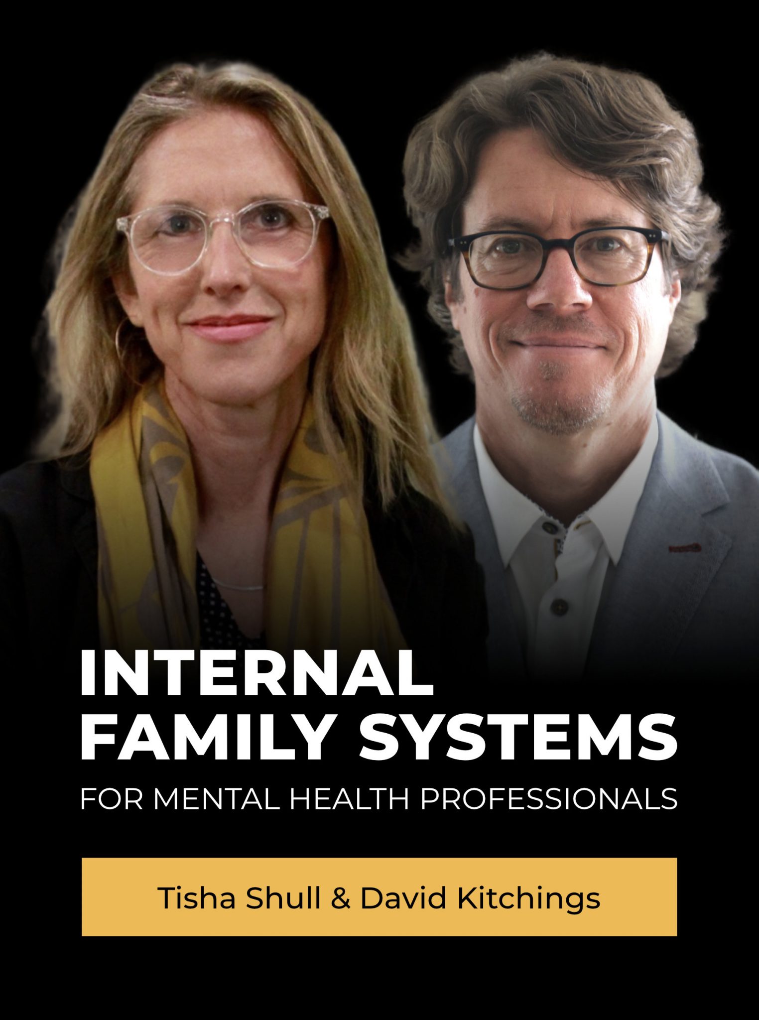 Internal Family Systems for mental health professionals