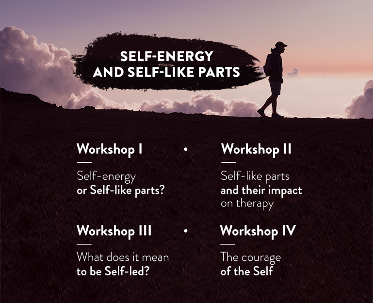 Self-energy and Self-like LP 5