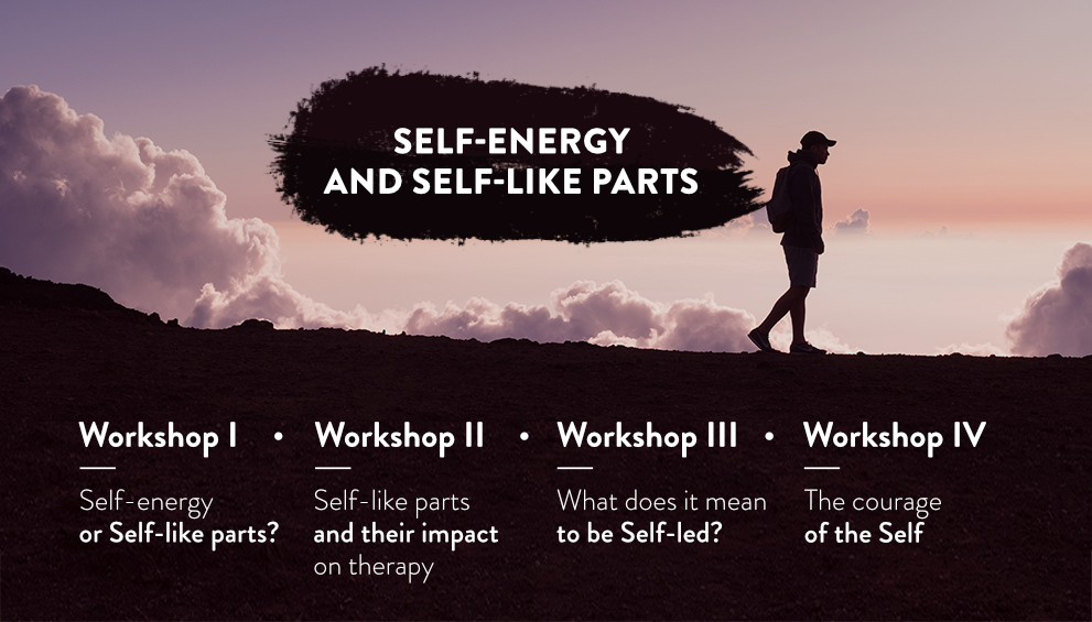 Self-energy and Self-like LP 6