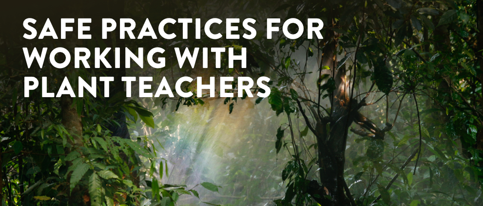 Kurs Safe practices for working with ayahuasca [CS]