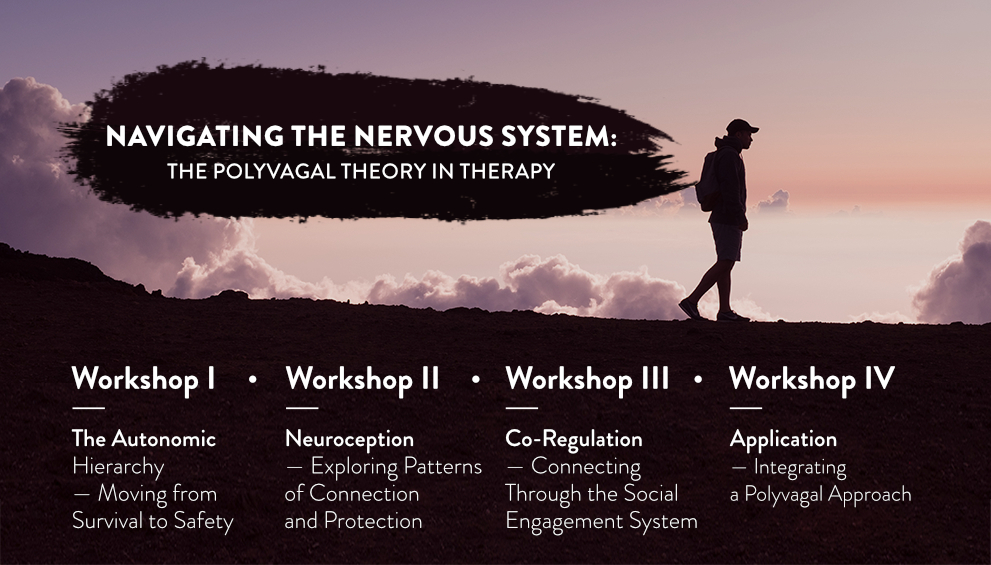 Navigating the Nervous System [LP] 6