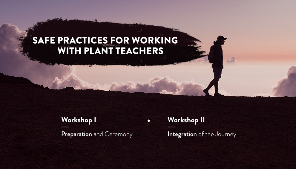 Plant teachers [LP] 11