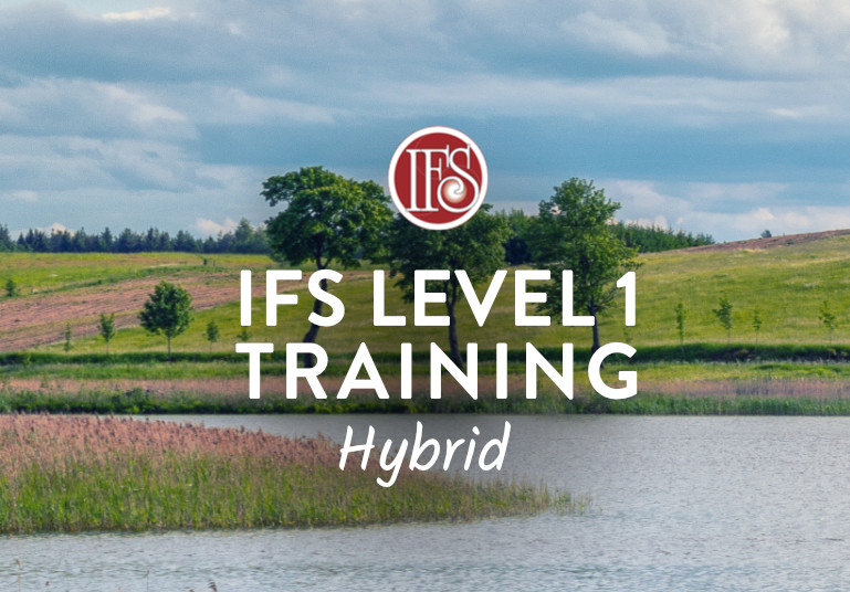 IFS Level 1 Training Online [1050 hybryda] 3