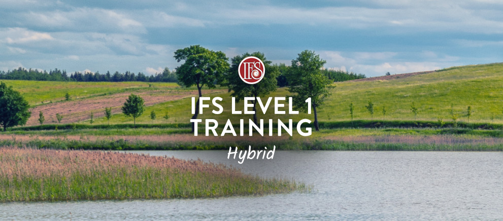 Kurs IFS Level 1 Training (1050) [Third Installment]