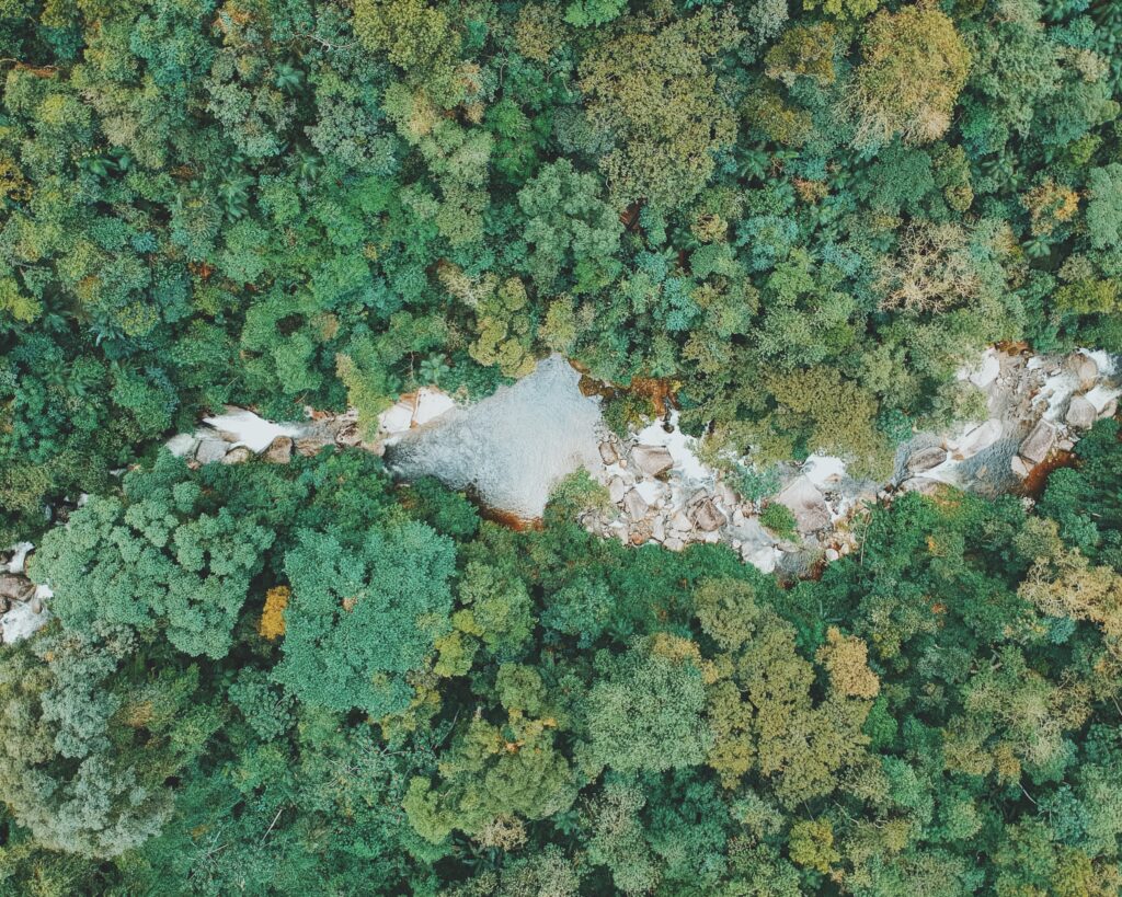 5294018B-12A5-4BA9-8530-18EDC8EE7FFE (1)