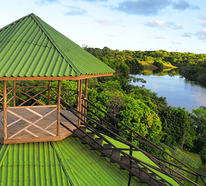 8 dni
