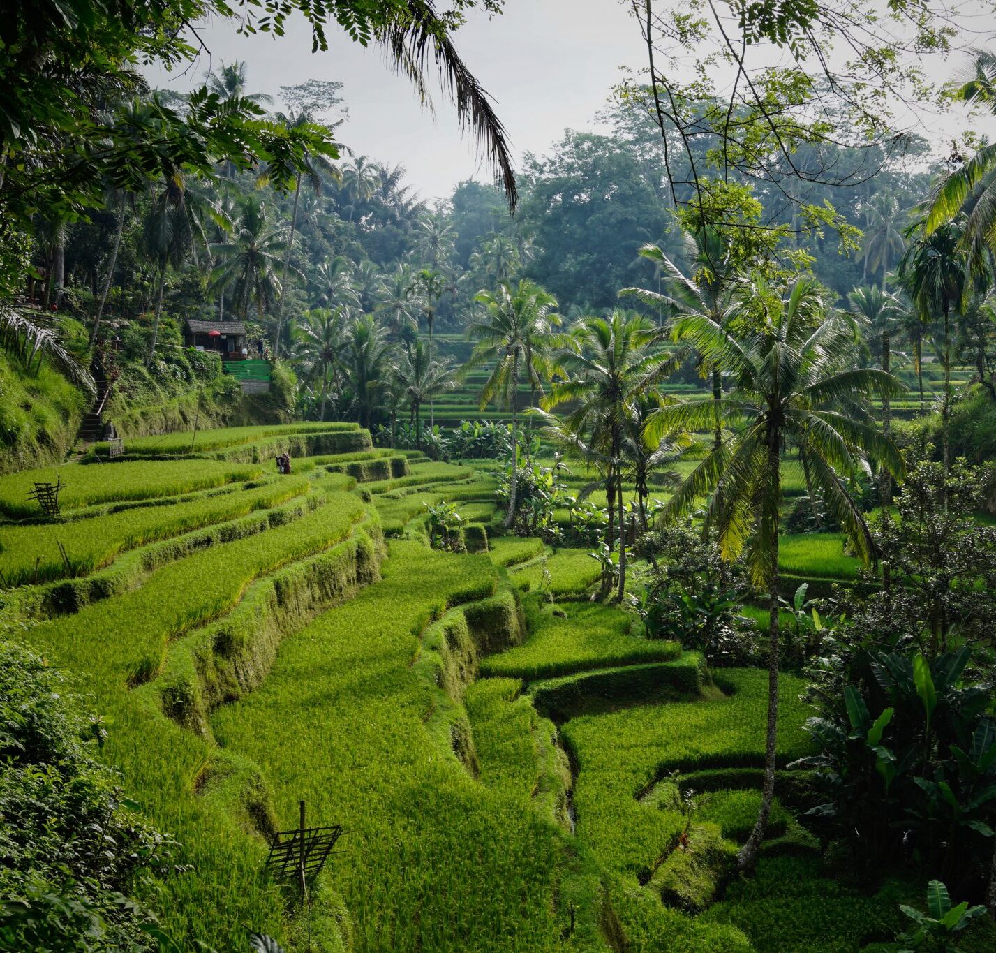 Memories from Bali 8