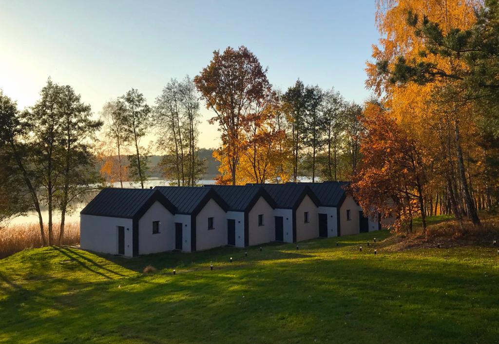 52415953_568375710240858_8943466445489045504_n