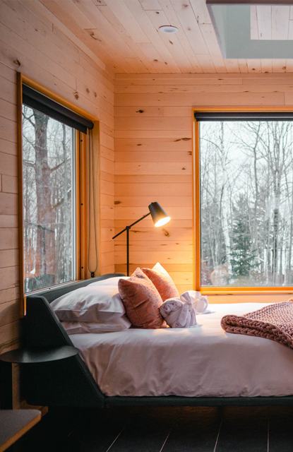 bed