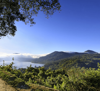 dgeio-tischler-XbPG4k-KUwE-unsplash