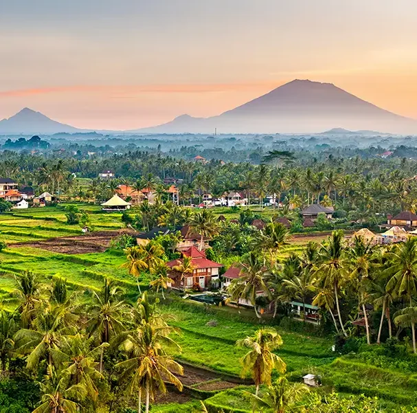 iStock-2096414673-HeaderDesktop