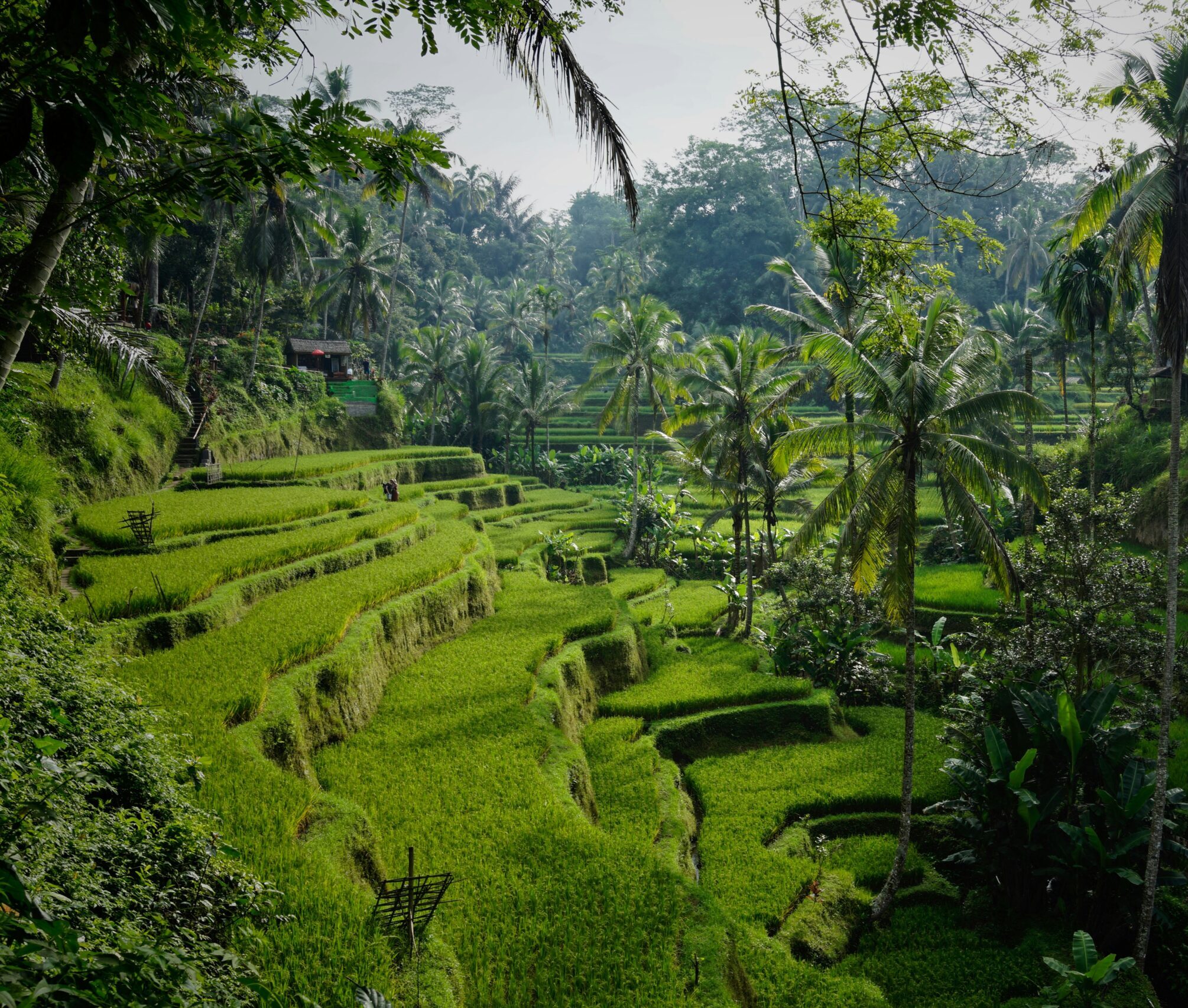 niklas-weiss-2WlTWZLnRc-unsplash