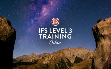 level_3_training_online_horizon2