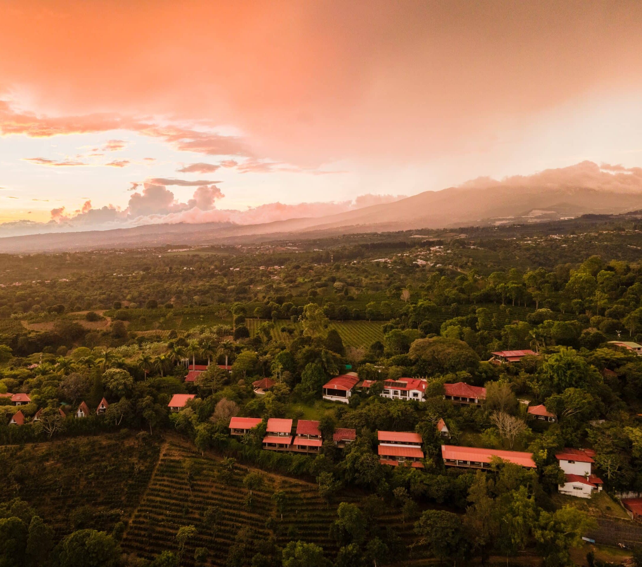 Aerial-22-T.-Daynjer