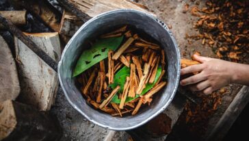First Ayahuasca Experience - bowl with herbs