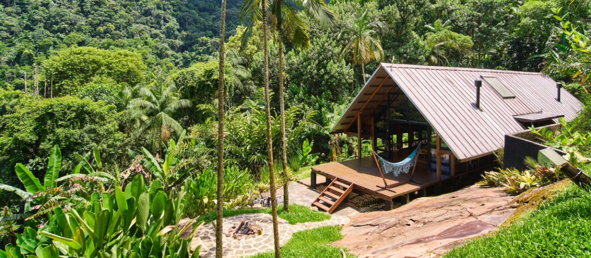 First-Ayahuasca-Experience-retreat