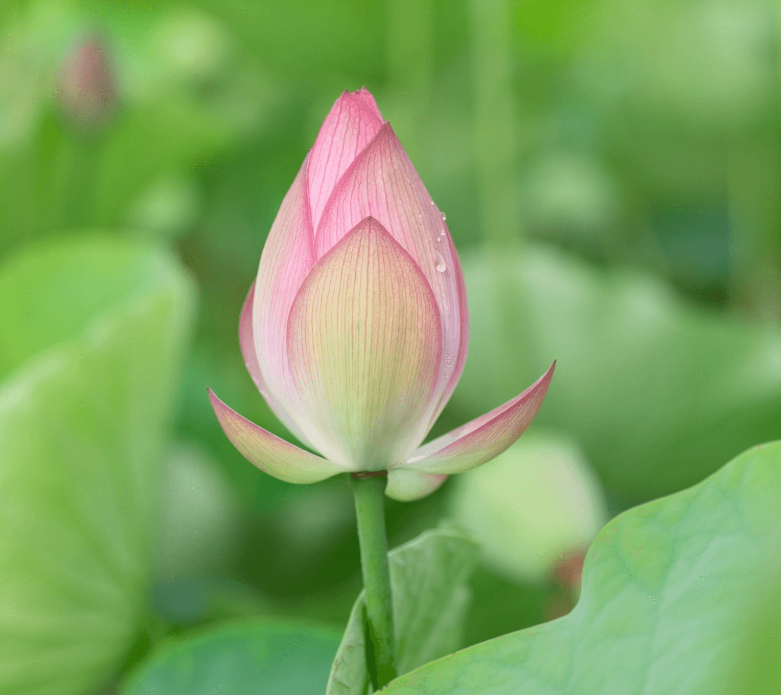 Zrzut ekranu 2025-11-1 o 20.54.09